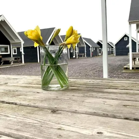 Hébergement de vacances 4 Star In