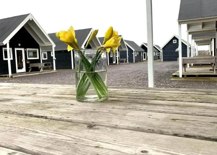 Semesterbostad 4 Star In