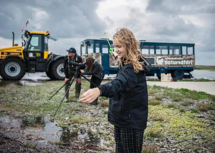 4 Star In Hébergement de vacances