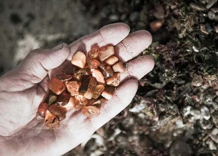 4 Star In * Thyborøn